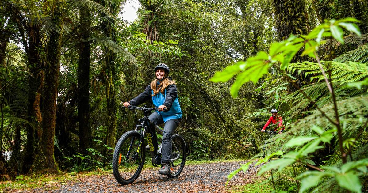 Boleto de caminata y bicicleta el ctrica Fox Glacier Valley en Fox